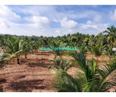 4 Acres Farm Land For Sale In Mallandur