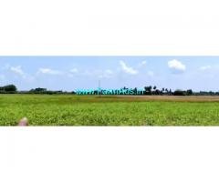50 Acres Agriculture Land For Sale In Villupuram