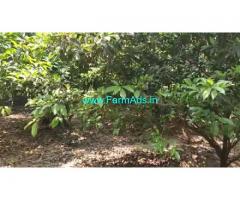 66 Cents Agriculture Land For sale in Edaikazhinadu