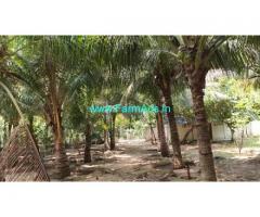 66 Cents Agriculture Land For sale in Edaikazhinadu