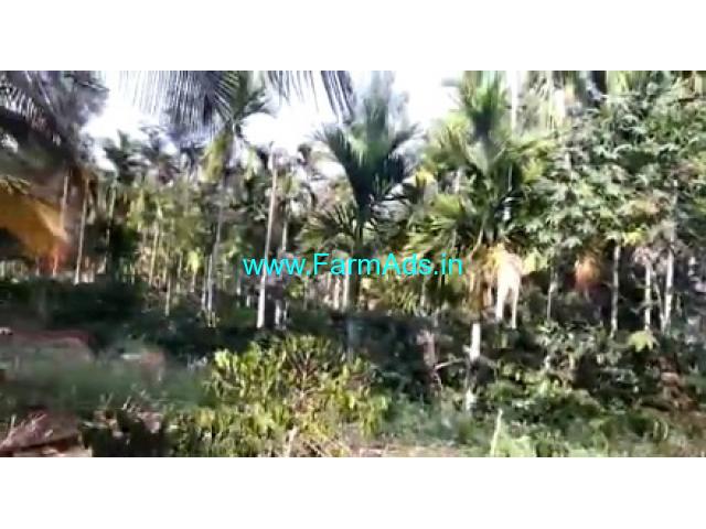 7 Acres Farm Land For Sale In Chikkamagaluru 7 Acres Farm Land For Sale In Chikkamagaluru