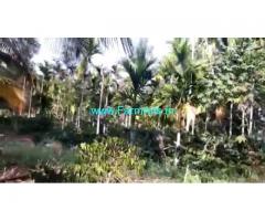 7 Acres Farm Land For Sale In Chikkamagaluru