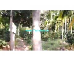 7 Acres Farm Land For Sale In Chikkamagaluru 7 Acres Farm Land For Sale In Chikkamagaluru