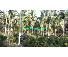 7 Acres Farm Land For Sale In Chikkamagaluru 7 Acres Farm Land For Sale In Chikkamagaluru