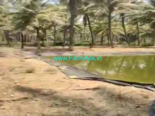 5 Acres Farm Land For Sale In Chikkamagaluru 5 Acres Farm Land For Sale In Chikkamagaluru