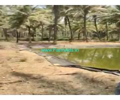 5 Acres Farm Land For Sale In Chikkamagaluru