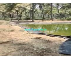 5 Acres Farm Land For Sale In Chikkamagaluru 5 Acres Farm Land For Sale In Chikkamagaluru