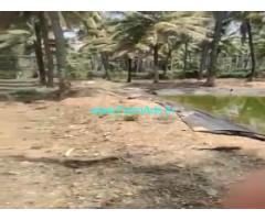 5 Acres Farm Land For Sale In Chikkamagaluru 5 Acres Farm Land For Sale In Chikkamagaluru