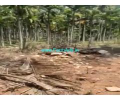 5 Acres Farm Land For Sale In Chikkamagaluru 5 Acres Farm Land For Sale In Chikkamagaluru