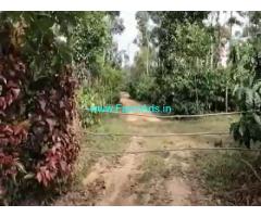 15 Acres Agriculture Land For Sale In Mudigere