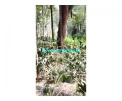 1.5 Acres Farm Land For Sale In Chikkamagaluru