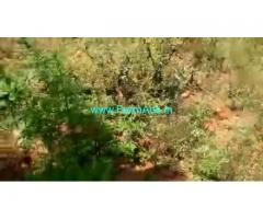 7 Acres Agriculture Land For Sale In Chikkamagaluru