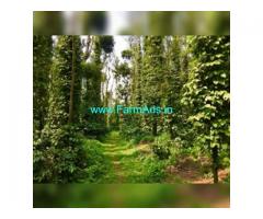 45 Acres Farm Land For Sale In Belur