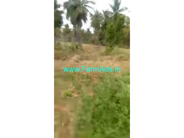 10 Acres Agriculture Land For Sale In Kadur 10 Acres Agriculture Land For Sale In Kadur