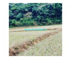 2 Acres Agriculture Land For Sale In Sakleshpur