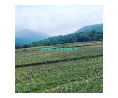 2 Acres Agriculture Land For Sale In Sakleshpur
