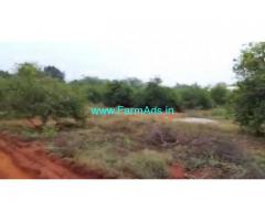 100 Acres Agriculture Land For Sale In Kanigiri