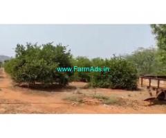 100 Acres Agriculture Land For Sale In Kanigiri