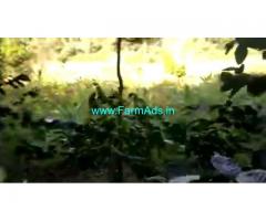 3 Acre 6 Gunta Farm Land For Sale In Chikkamagaluru