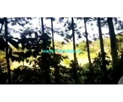 3 Acre 6 Gunta Farm Land For Sale In Chikkamagaluru