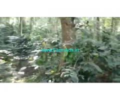 3 Acre 6 Gunta Farm Land For Sale In Chikkamagaluru