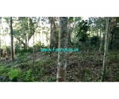 3 Acre 6 Gunta Farm Land For Sale In Chikkamagaluru
