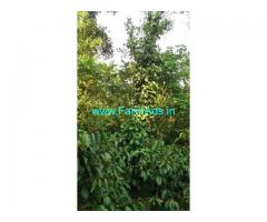 17 Acres Farm House For Sale In Mudigere