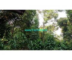 17 Acres Farm House For Sale In Mudigere