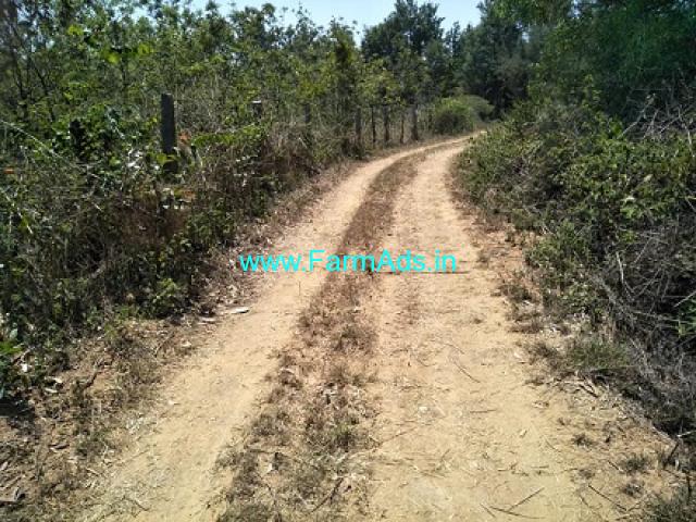 4 Acres Farm Land For Sale In Chikmagalur 4 Acres Farm Land For Sale In Chikmagalur