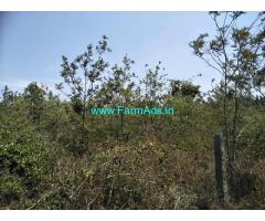 4 Acres Farm Land For Sale In Chikmagalur 4 Acres Farm Land For Sale In Chikmagalur