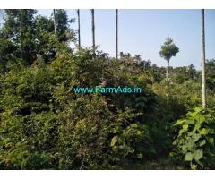 2 Acres Farm Land For Sale In Chikmagalur