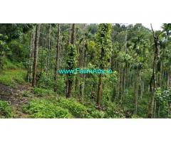 22 Acres Farm House For Sale In Mudigere