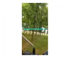 33 Acres Farm Land For Sale In Somandepalli