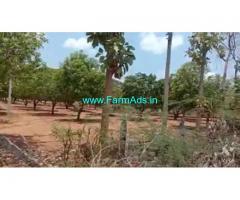 6 Acres Agriculture Land For Sale In Ragunathpalli mandal