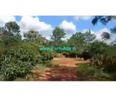 24 Acres Agriculture Land For Sale In Hassan Arsikere Highway