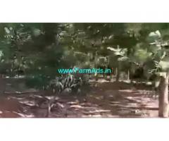 24 Acres Agriculture Land For Sale In Hassan Arsikere Highway