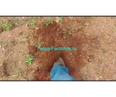 1 Acre 02 Gunta Farm Land For Sale In Hgginavalu 1 Acre 02 Gunta Farm Land For Sale In Hgginavalu
