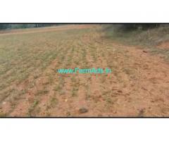 1 Acre 02 Gunta Farm Land For Sale In Hgginavalu 1 Acre 02 Gunta Farm Land For Sale In Hgginavalu