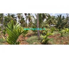 30 Acres Farm Land For Sale In Kadur 30 Acres Farm Land For Sale In Kadur