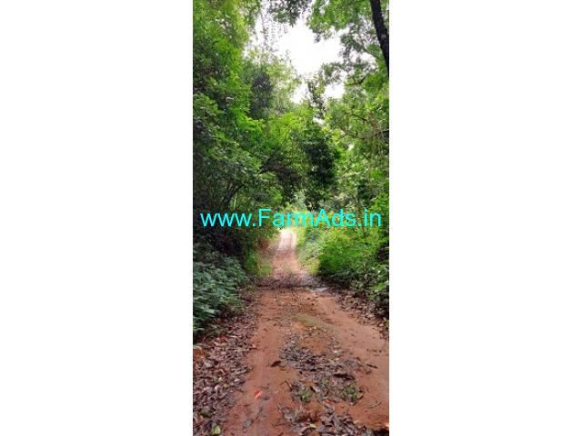 4 Acres Farm Land For Sale In Sakleshpur 4 Acres Farm Land For Sale In Sakleshpur