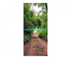 4 Acres Farm Land For Sale In Sakleshpur