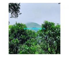 4 Acres Farm Land For Sale In Sakleshpur 4 Acres Farm Land For Sale In Sakleshpur