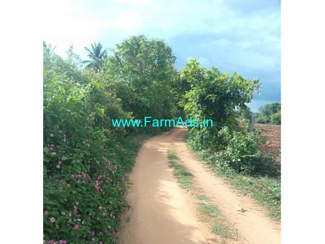 1.9 Acre Agriculture Land For Sale In Hassan 1.9 Acre Agriculture Land For Sale In Hassan