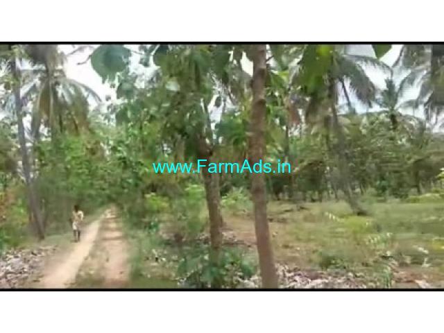 19 Acres Farm Land For Sale In Nanjangudu 19 Acres Farm Land For Sale In Nanjangudu