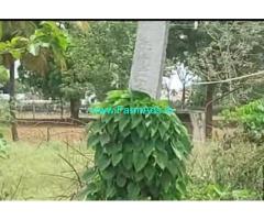 19 Acres Farm Land For Sale In Nanjangudu 19 Acres Farm Land For Sale In Nanjangudu