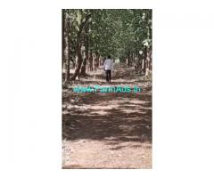 330 Acres Agriculture Land For Sale In Guduru