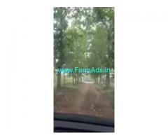 330 Acres Agriculture Land For Sale In Guduru