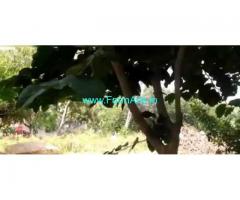 1.70 Acres Farm Land For Sale In Singanamala
