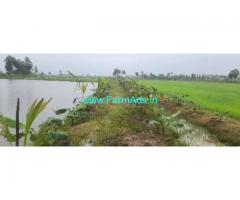 12 Acres Farm Land For Sale In Madappuram