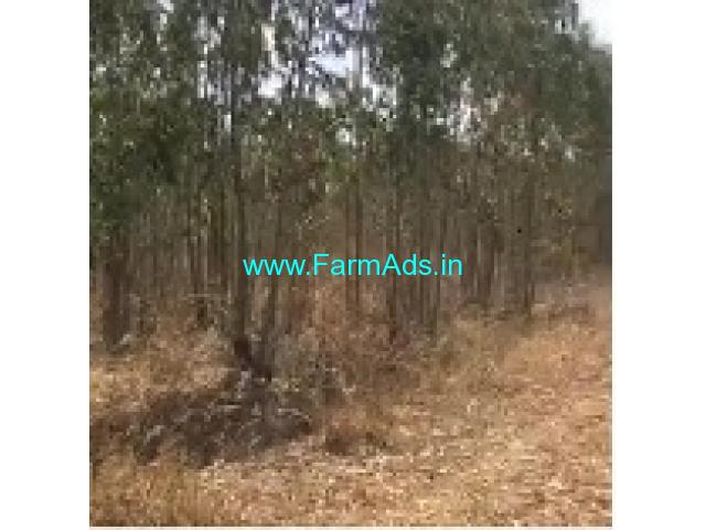 2 Acres Agriculture Land For Sale In Sakleshpur 2 Acres Agriculture Land For Sale In Sakleshpur